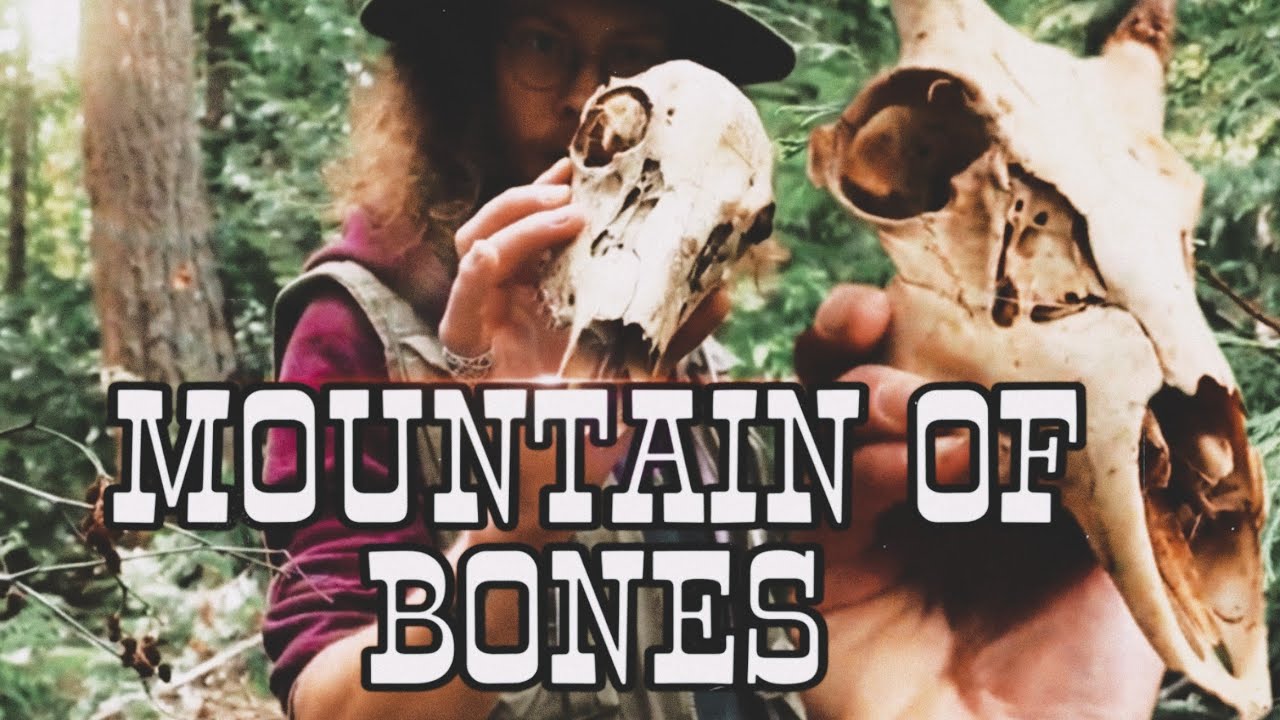 Looking For Bones At Corpse Corner