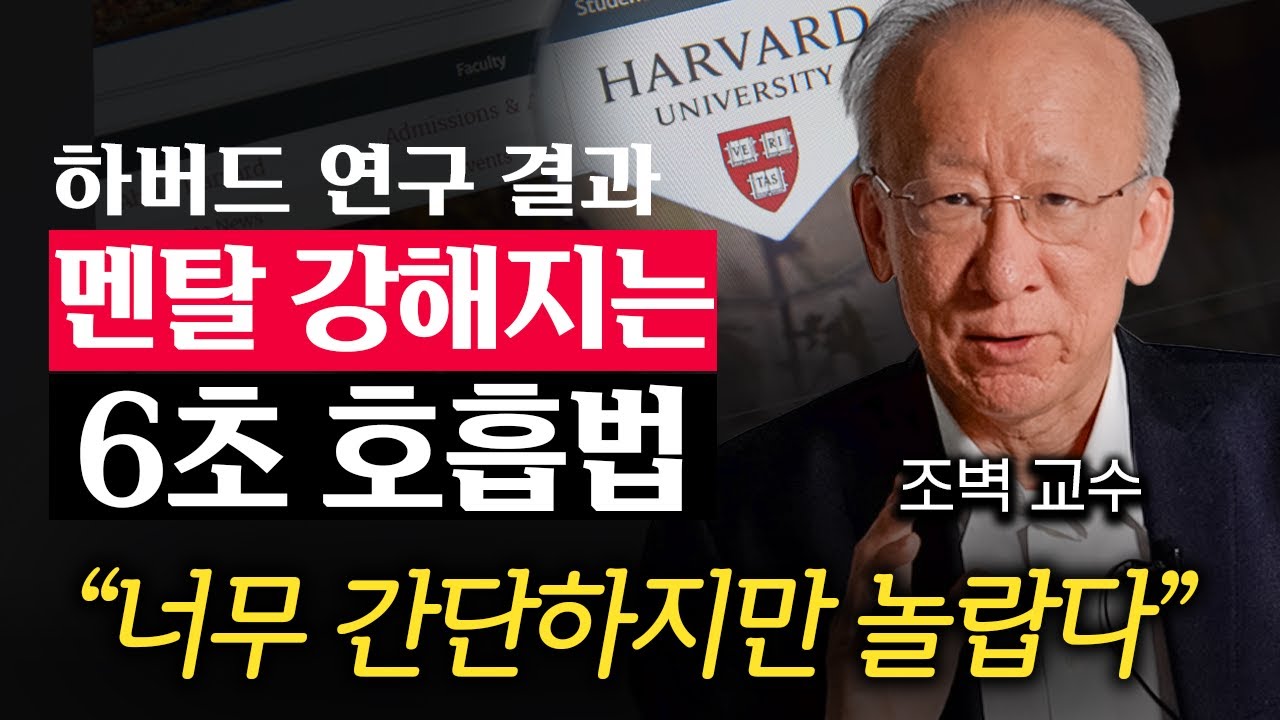 “최근 밝혀진 과학적 사실” 하버드 대학교가 제안한 최고의 정신 건강 비법 (조벽 교수 3부)