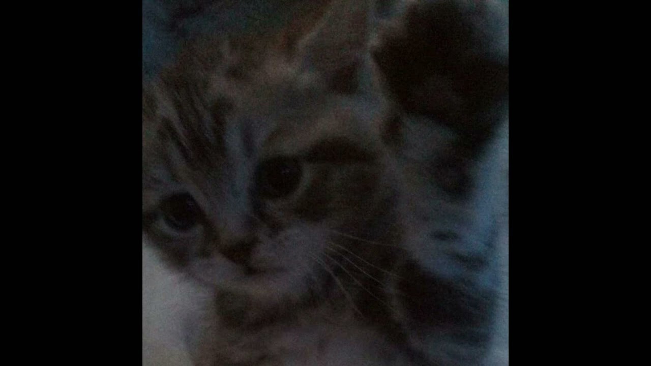 [free] nettspend x cloudrap x aquakey x exp x soundcloud type beat - 