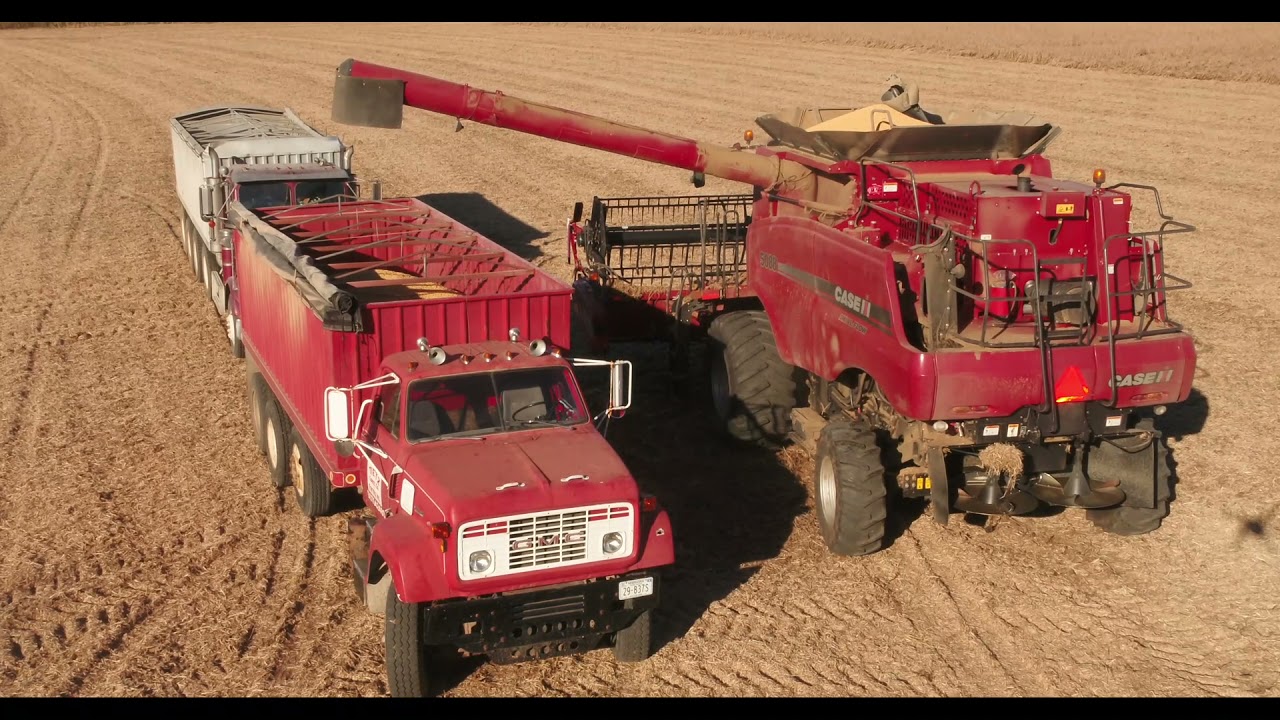 Eastern Nebraska Soy Bean Harvest 10-17-2021 Case IH 5088