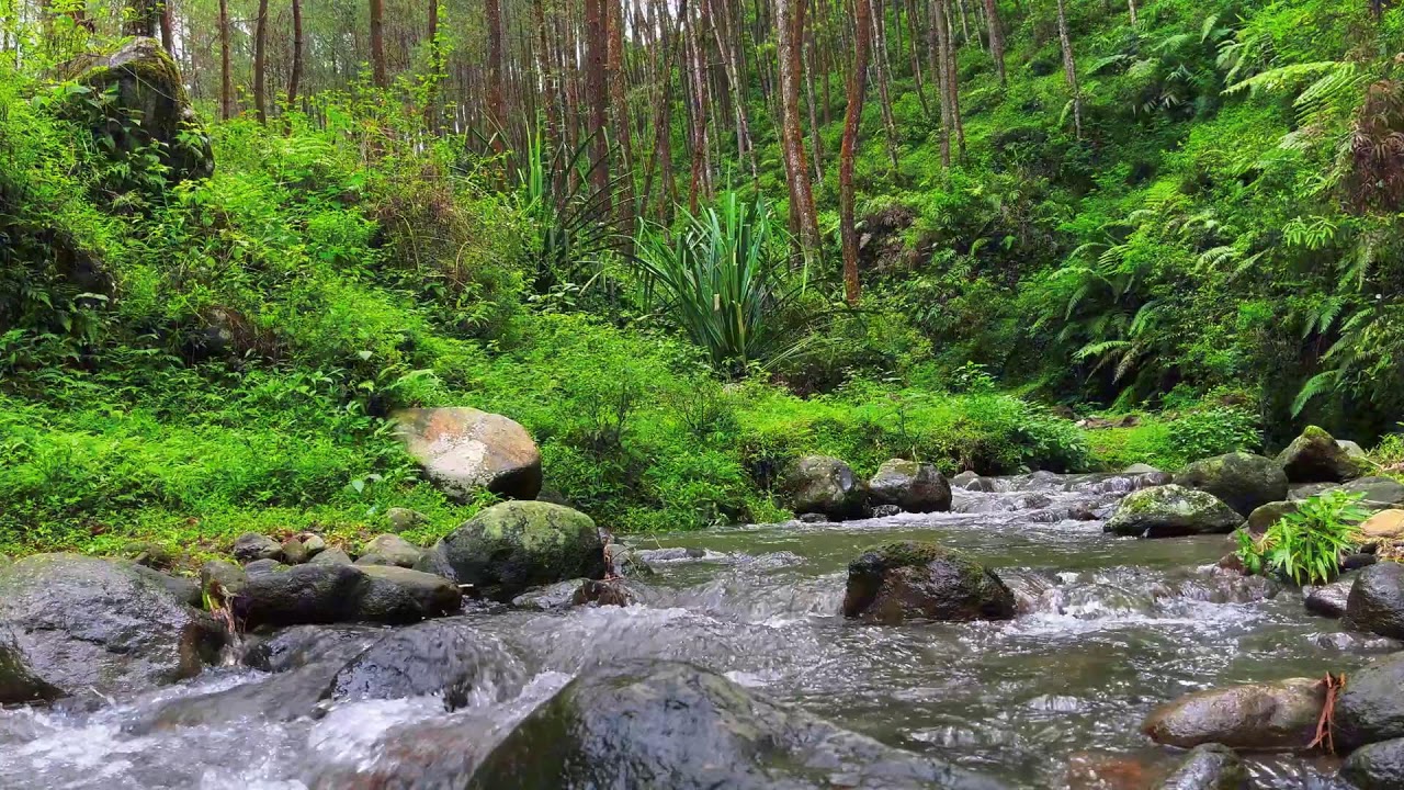 Flow of Calm – River Sounds for Deep Focus, Mind Balance & Stress Relief