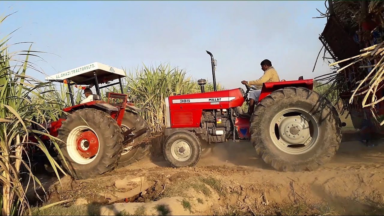 MF 385 Toe Chained with NH Dabung 85 HP