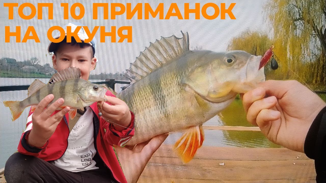 ТОП 10 приманок на окуня. ЗЛАПАЄШ ЗАВЖДИ І ВСЮДИ!