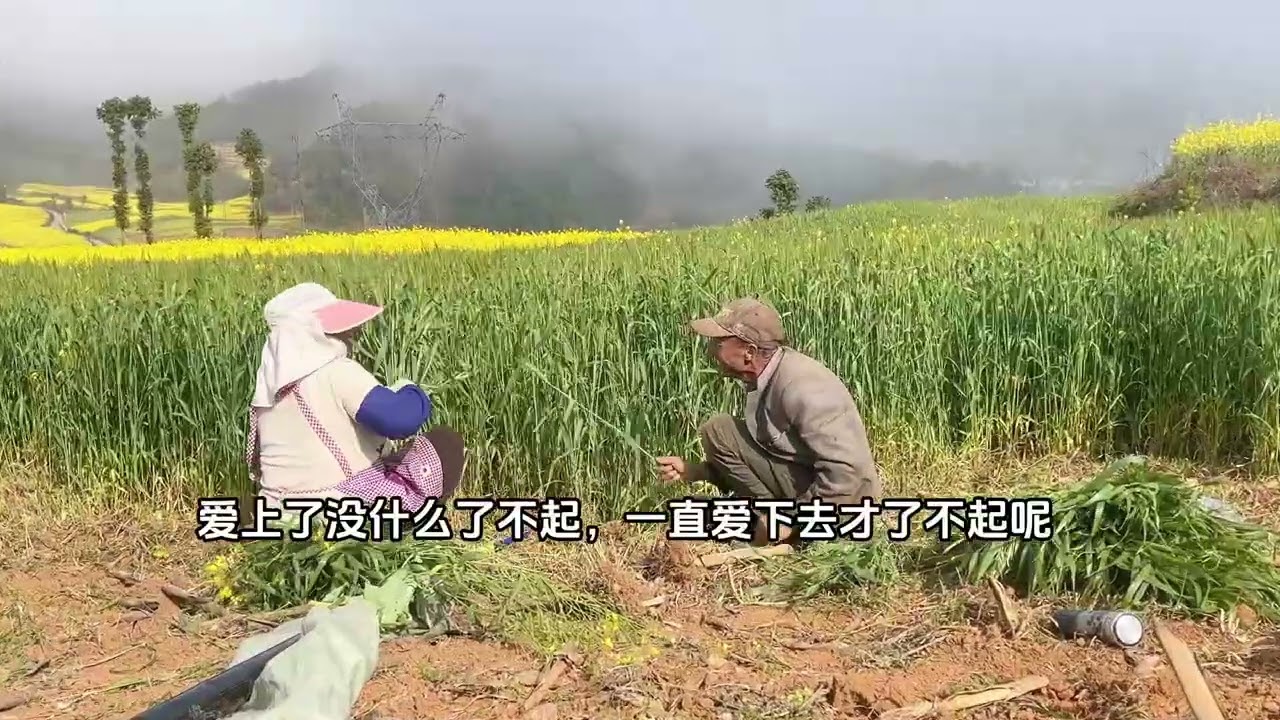 结婚的意义是什么？大概就是找到一个，愿意陪你闹陪你笑的人吧#结婚的意义是什么 #父母爱情 #看到父母开心幸福比什么都值得 @DOU+上热门🔥