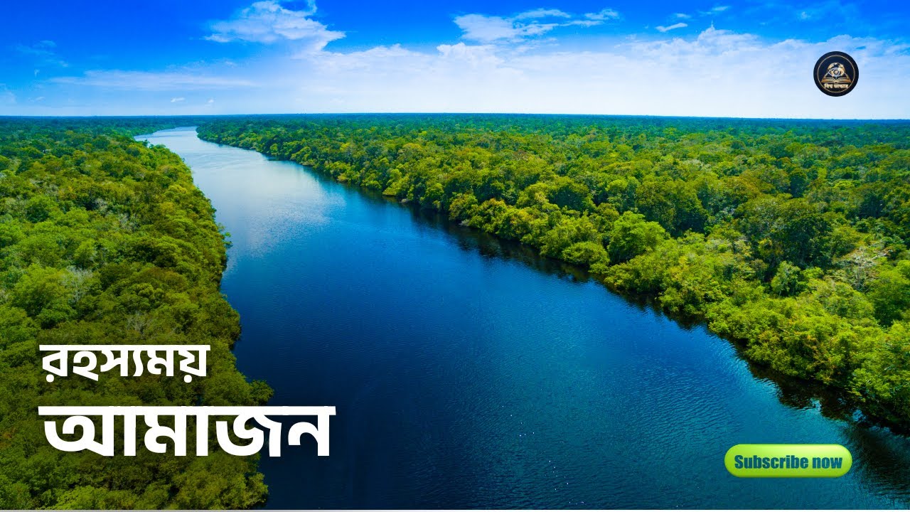 রহস্যময় অ্যামাজন।পৃথিবীর সবচেয়ে বিপজ্জনক ও বিস্ময়কর জঙ্গল | Amazon Rainforest Explained in Bengali