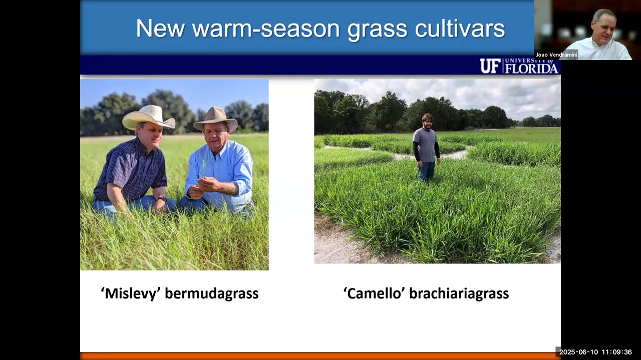 Fall Fertilization of Warm-Season Perennial Grasses with Dr. Joao Vendramini