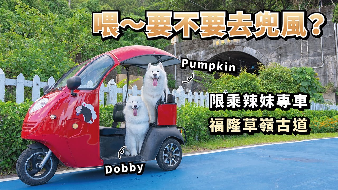 『喂～要不要去兜風？』限乘辣妹專車，福隆草嶺古道(薩摩耶多比Dobby is free)