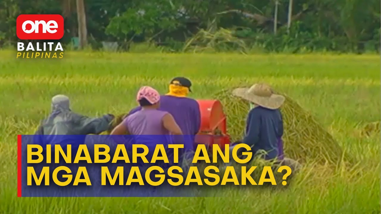 NFA, nanawagan sa traders na itigil ang pambabarat sa palay | One Balita Pilipinas
