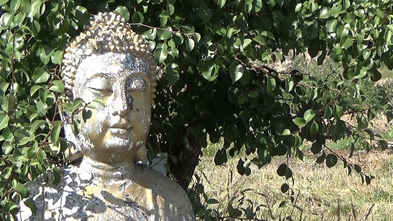 Gregor Daniel - Meditationsmusik - TAOASIS (Lage) - Buddha's Dream - Musiktitel: Dodo's Evening Call