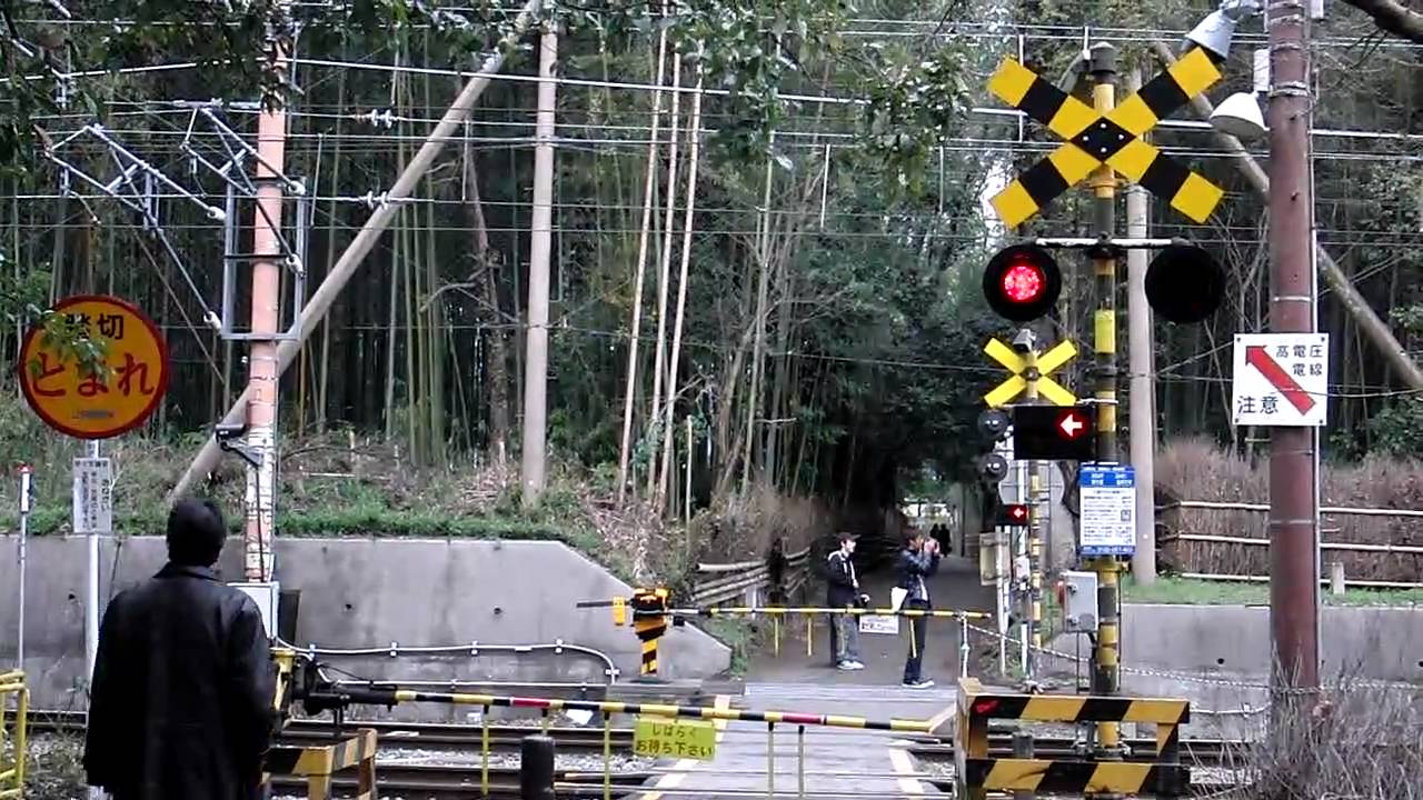 特急「タンゴディスカバリー」と嵯峨野トロッコ列車　＠野々宮踏切