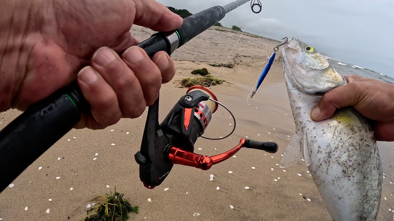 Summer Forage & Fish CATCH and COOK at Old Whitebait Spot