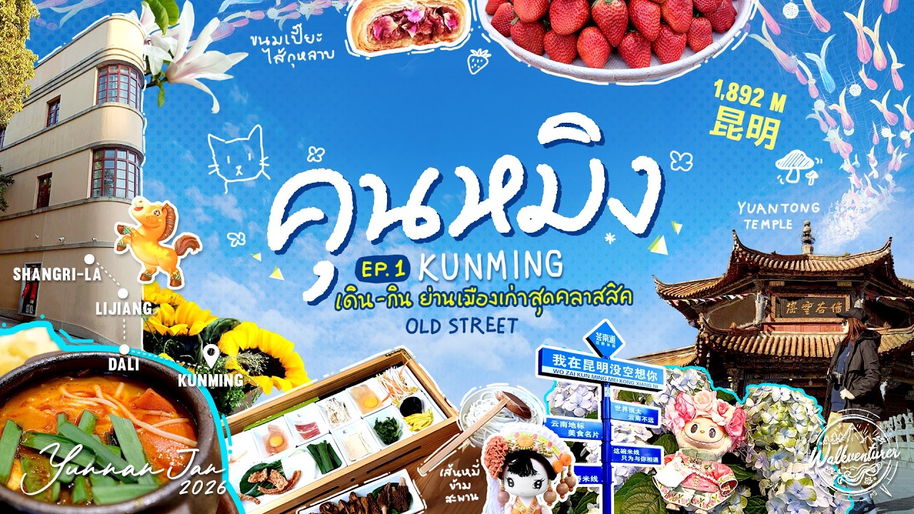 YUNNAN 2026 EP 1 - Kunming : คุนหมิง  1 วันในย่านเมืองเก่า กินเห็ดสุดมัน(ส์)