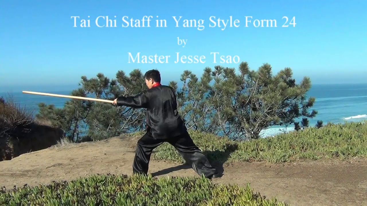 Tai Chi Staff in Yang Style Form 24- Low form and rooster stand on one foot