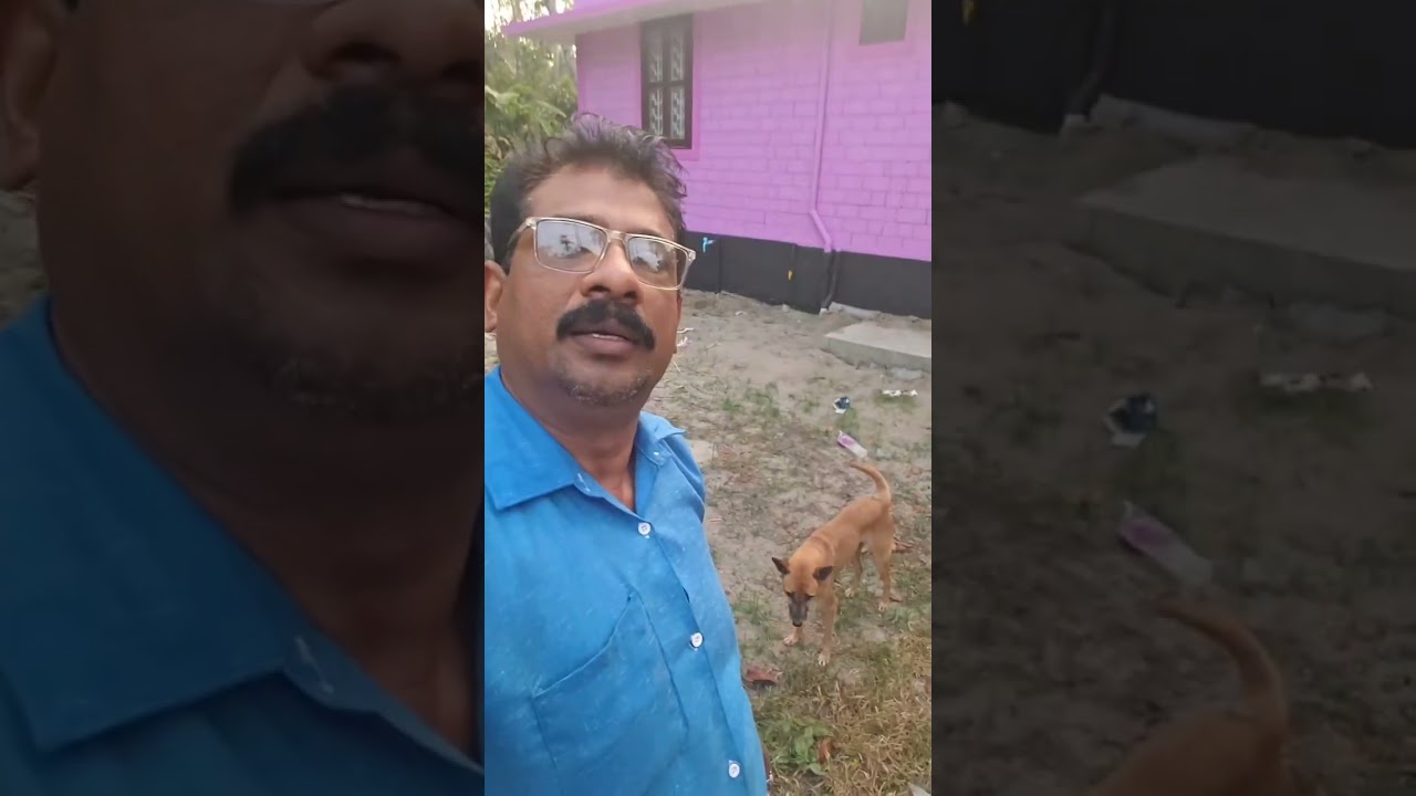 പങ്കി മോള് ഇന്ന് വളരെ ഹാപ്പിയാണ് പണിക്കാര് വന്നല്ലോ 