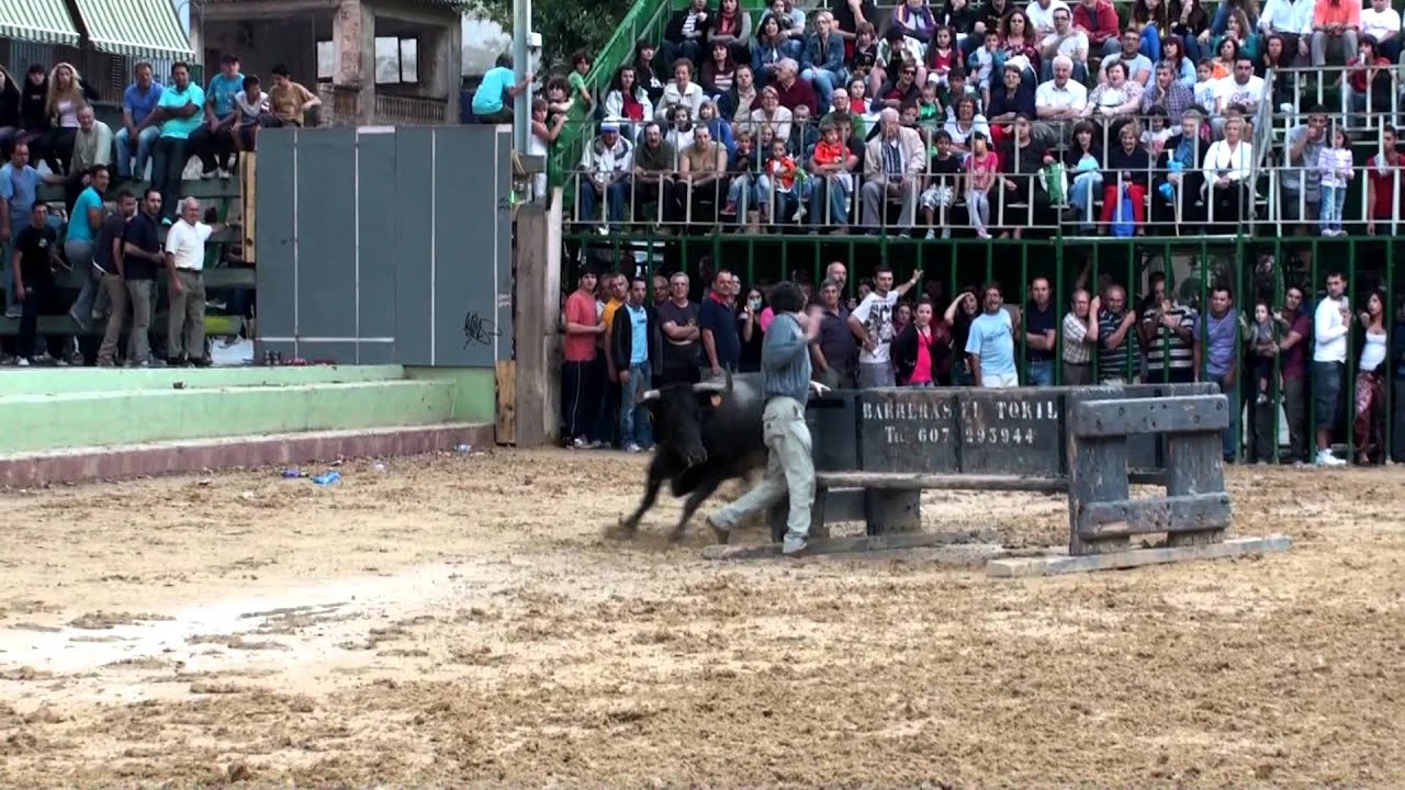 TOROS BÉTERA - RESUMEN 2011