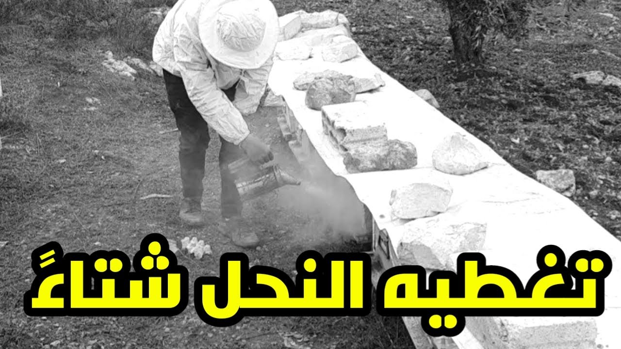 تغطيه النحل شتاءً (الإيجابيات والسلبيات)
