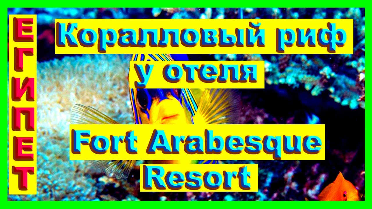 Египет. Коралловый риф. Fort Arabesque Resort 4*. Хургада