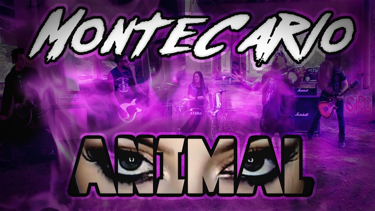 Montecarlo The Band  | Animal | Official Video