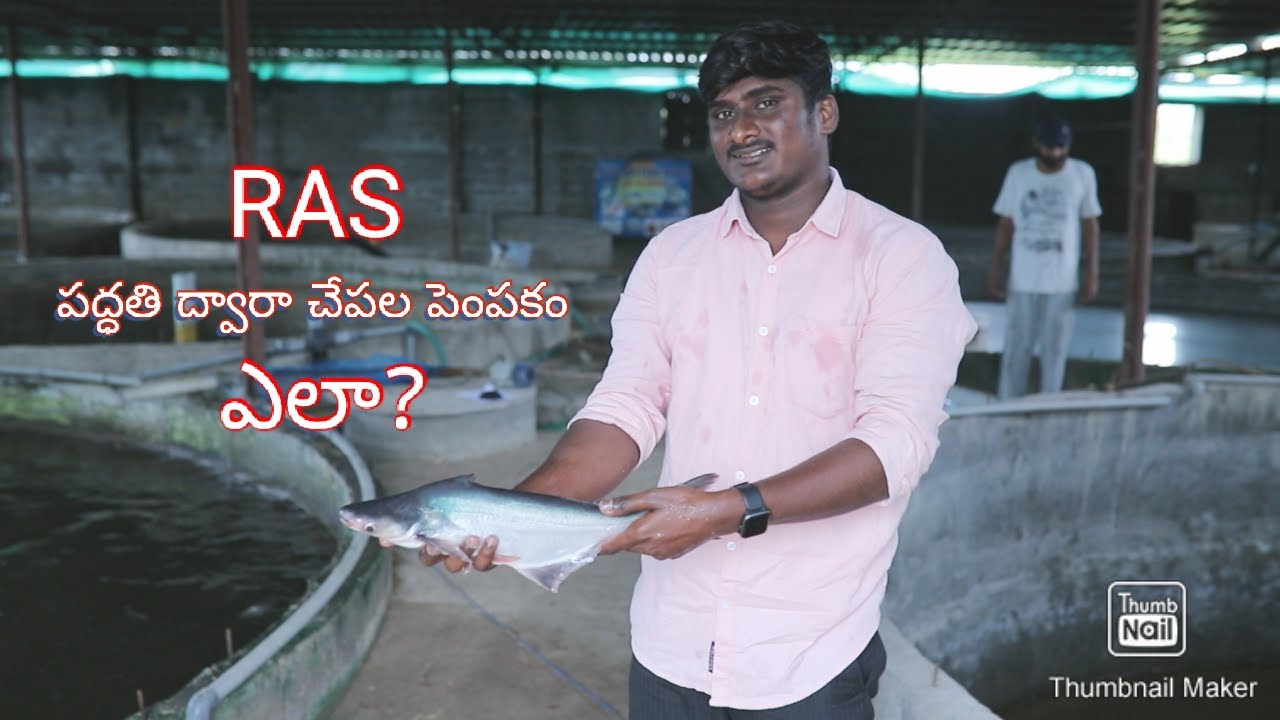 [ RAS ] Recirculating Aquaculture System I information of aquaculture