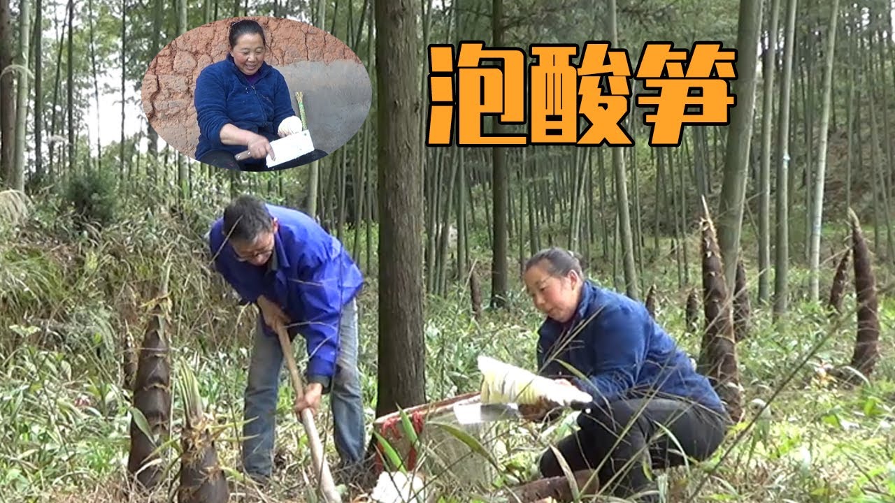 春笋是一道和时间赛跑的美食，抓紧把泡酸笋安排上【幺妈和幺叔】