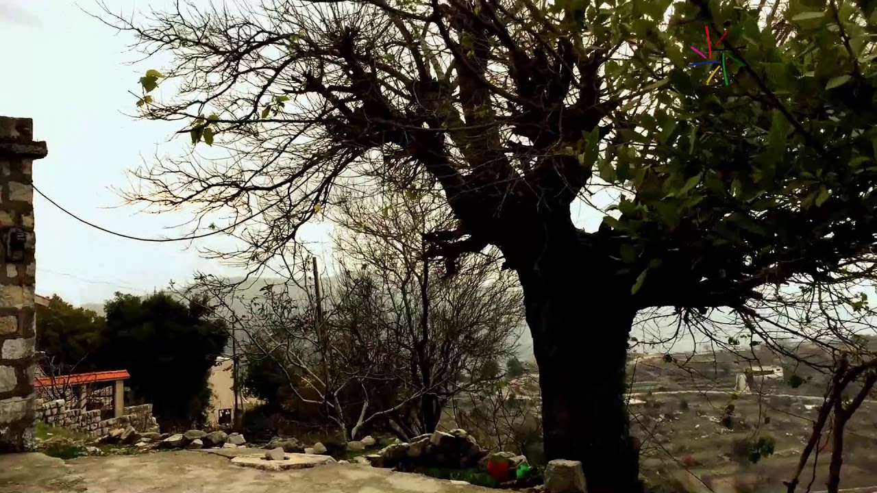 خرايب سالم
