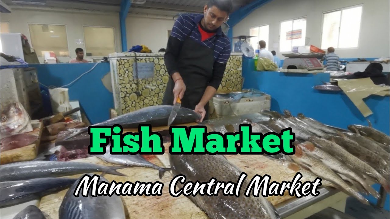 Fish Market | Manama Central Market | Manama, Bahrain🇧🇭 | Jo Celine Channel