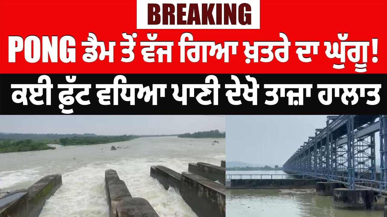 BREAKING:PONG ਡੈਮ ਤੋਂ ਵੱਜ ਗਿਆ ਖ਼ਤਰੇ ਦਾ ਘੁੱਗੂ! ਕਈ ਫ਼ੁੱਟ ਵਧਿਆ ਪਾਣੀ ਦੇਖੋ ਤਾਜ਼ਾ ਹਾਲਾਤ