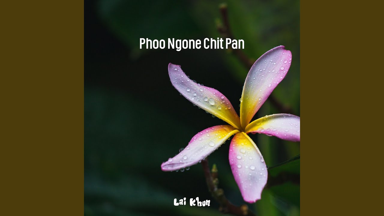 Phoo Ngone Chit Pan
