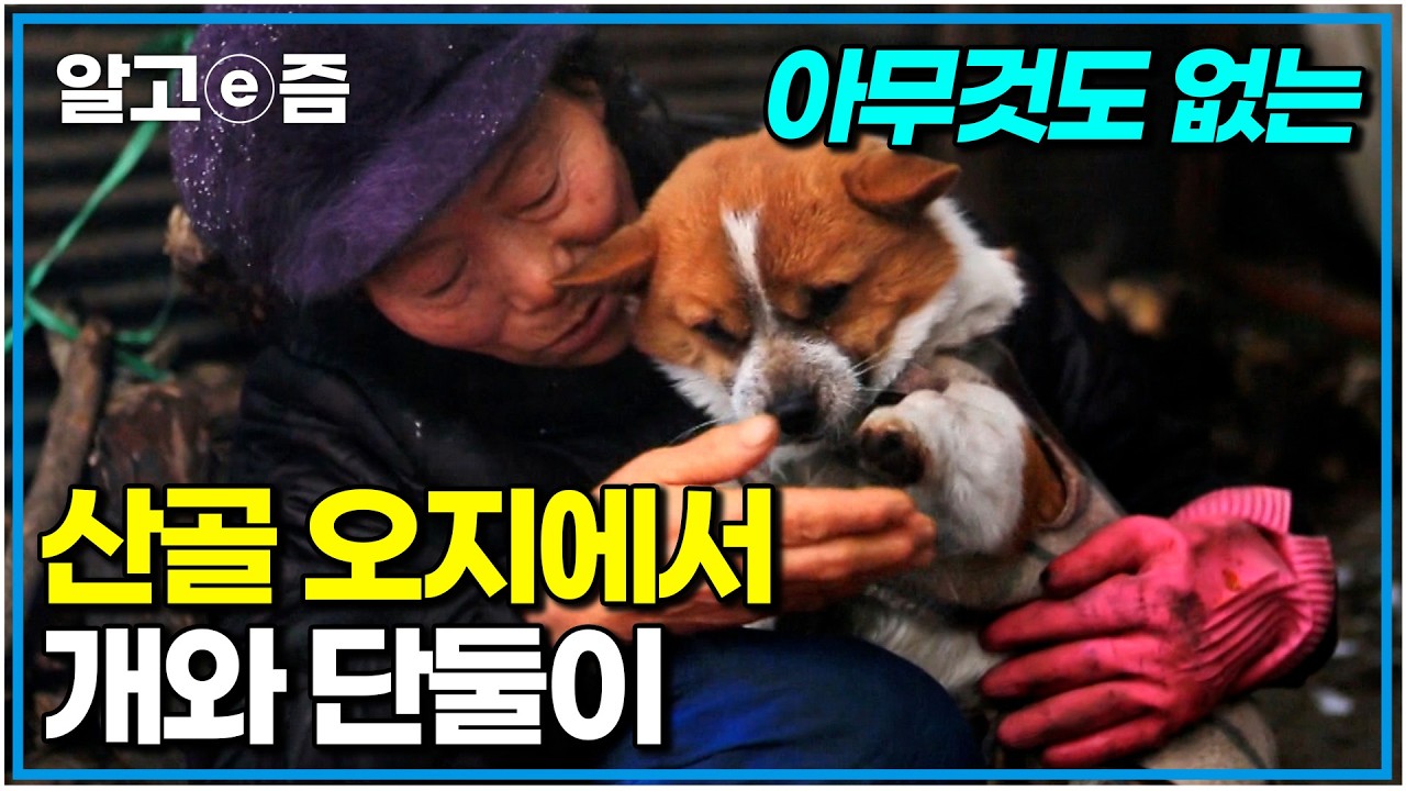산골 오지만이 누릴 수 있는 삶. 겨울 깊은 산골에 사는 사람들의 이야기｜한국기행｜알고e즘