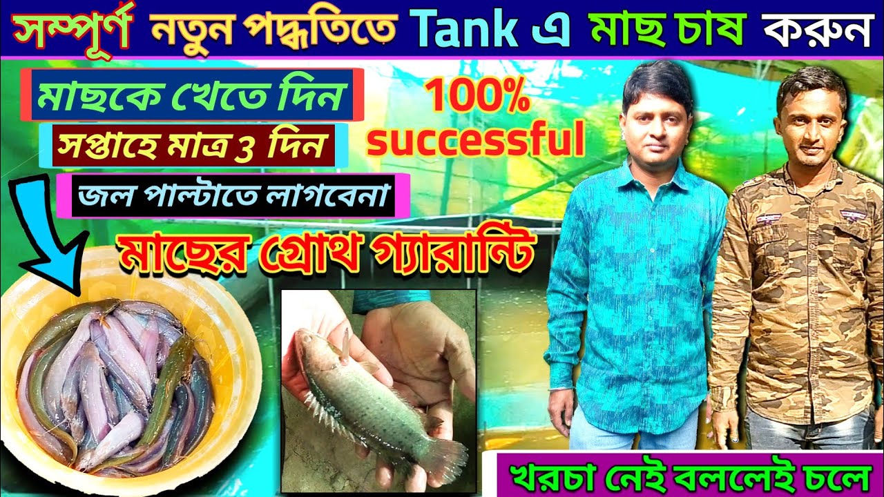 সম্পূর্ণ নতুন পদ্ধতিতে, কম খরচে মাছ চাষ|সপ্তাহে তিনদিন মাছকে খেতে দিলেই চলবে|The  Roshik Bangali