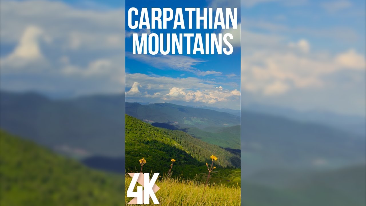 Incredible Nature of the Carpathian Mountains in Ukraine - 4K Vertical Video for Tablets & Phones