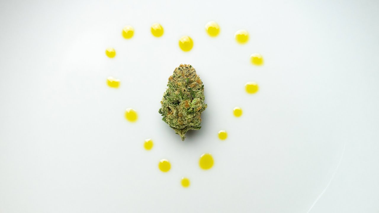 How to Make Cannabis Infused Oil or Butter