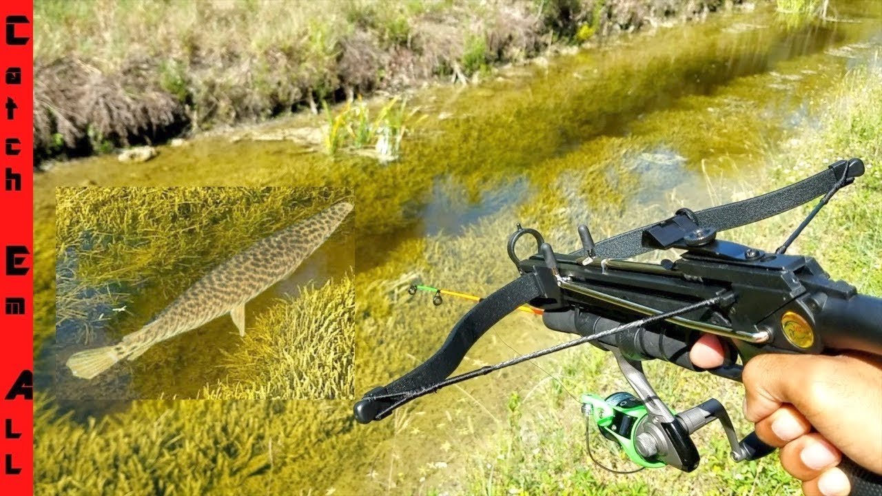 CROSSBOW Mini FISHING ROD MODIFICATION diy CATCHES FISH!
