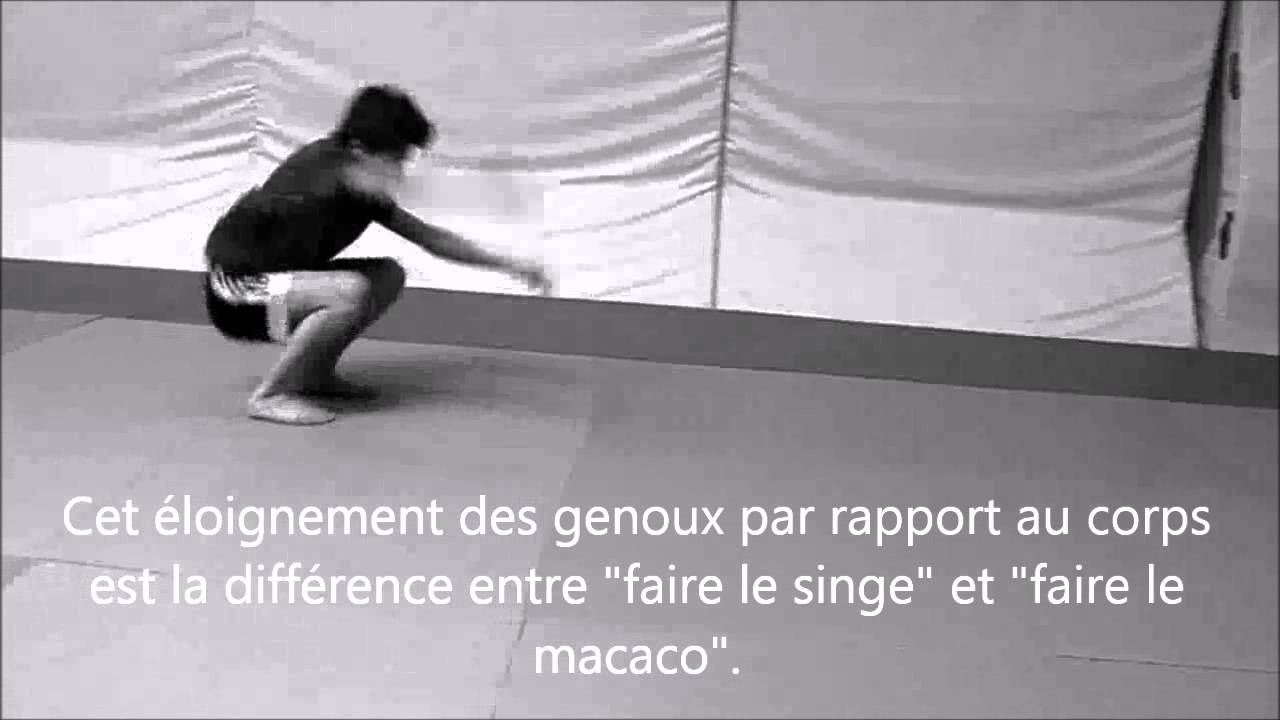 Macaco: apprentissage HD