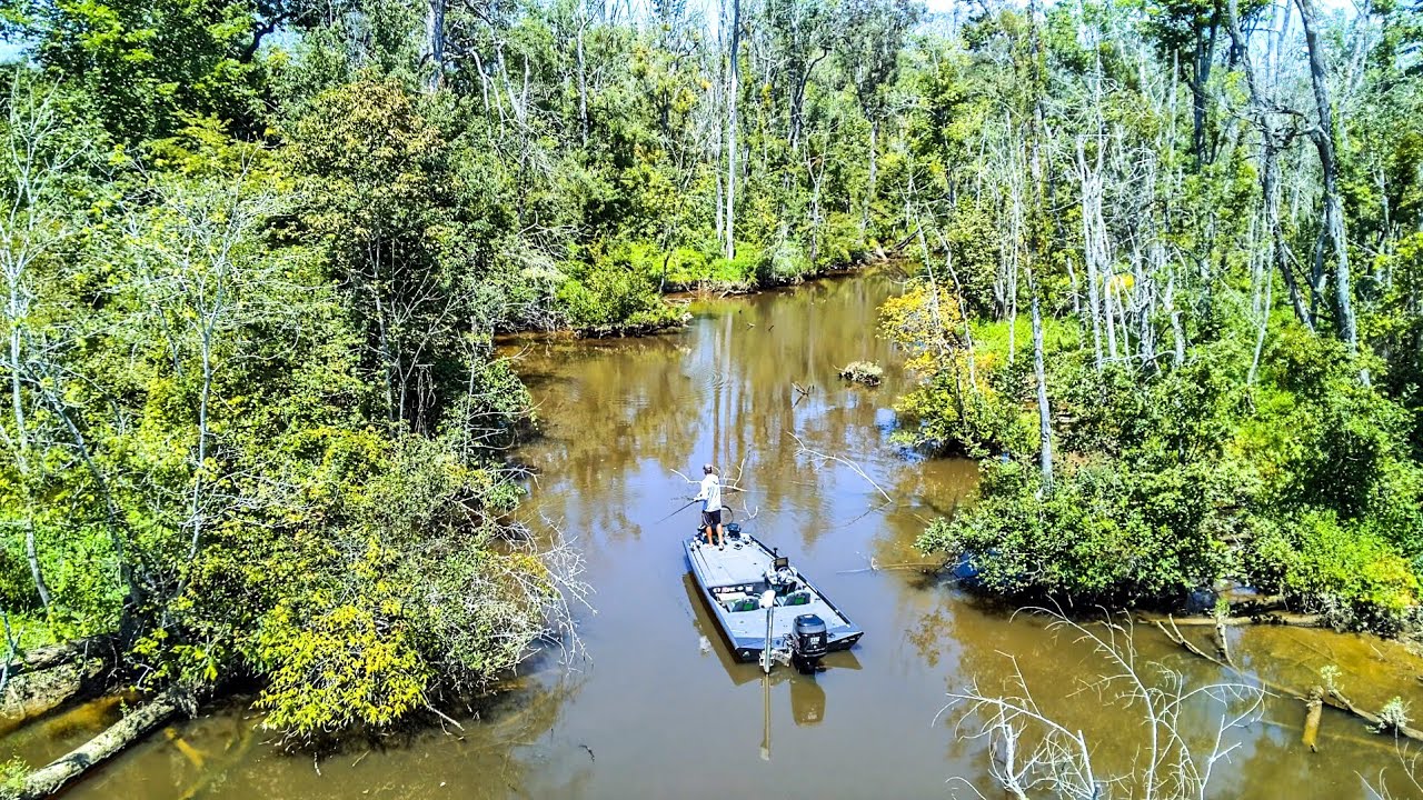 Fishing SHALLOW CREEKS Loaded with AGGRESSIVE BASS!!!