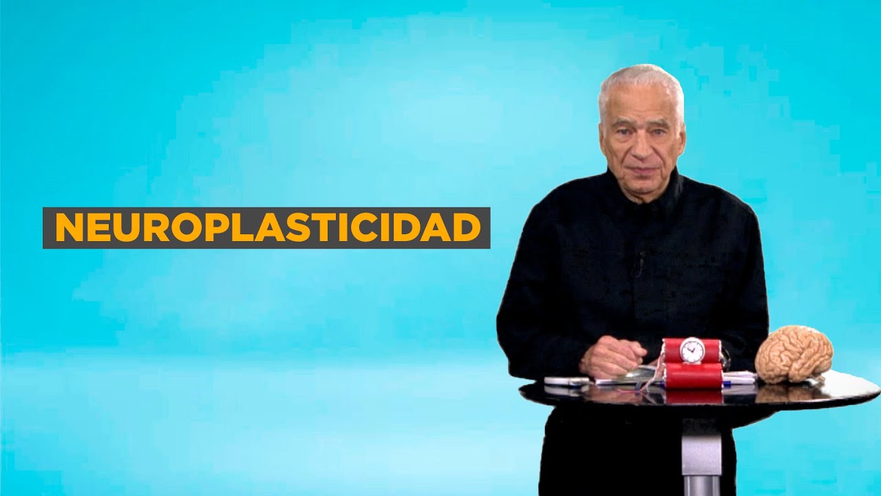 Qué es la neuroplasticidad y por qué es tan importante para adquirir nuevos conocimientos