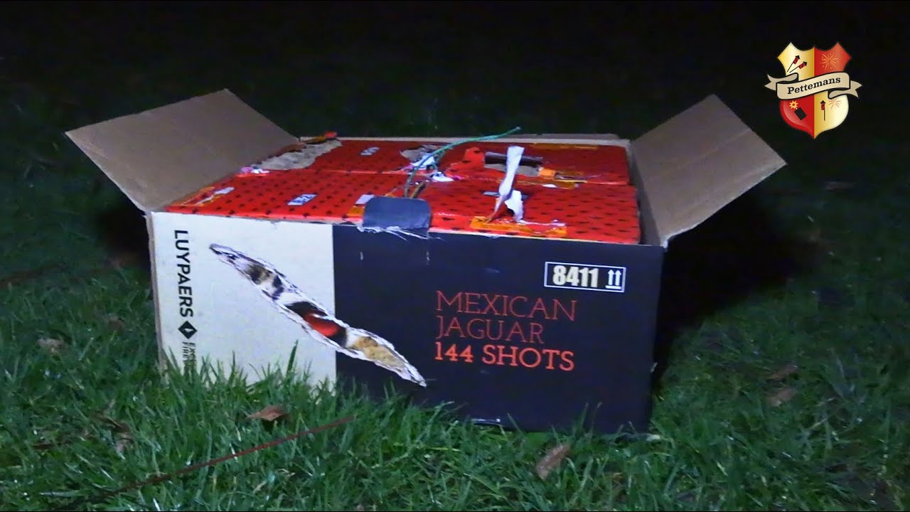 Mexican Jaguar - 144 shots  Luypaers 2021-2022