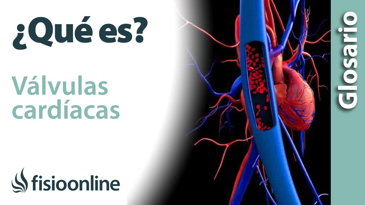 VÁLVULAS CARDÍACAS | Qué son, dónde se encuentran, cuál es su función y enfermedades