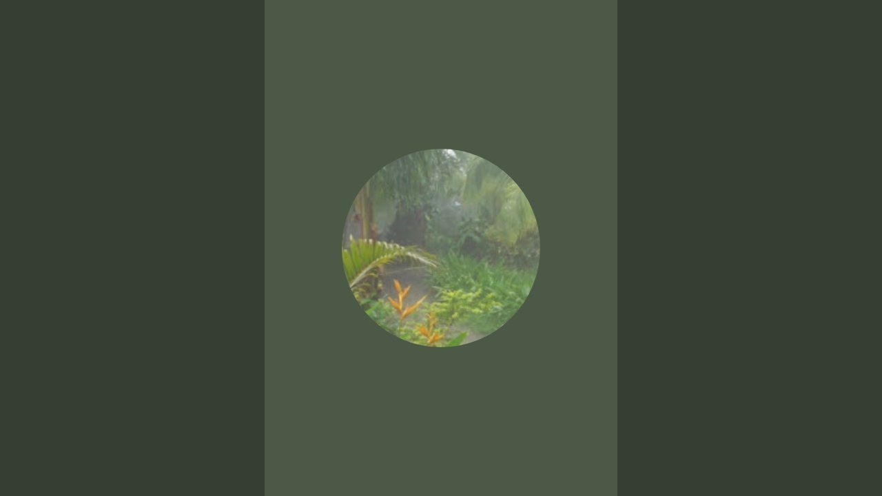 Chill Lofi day is live