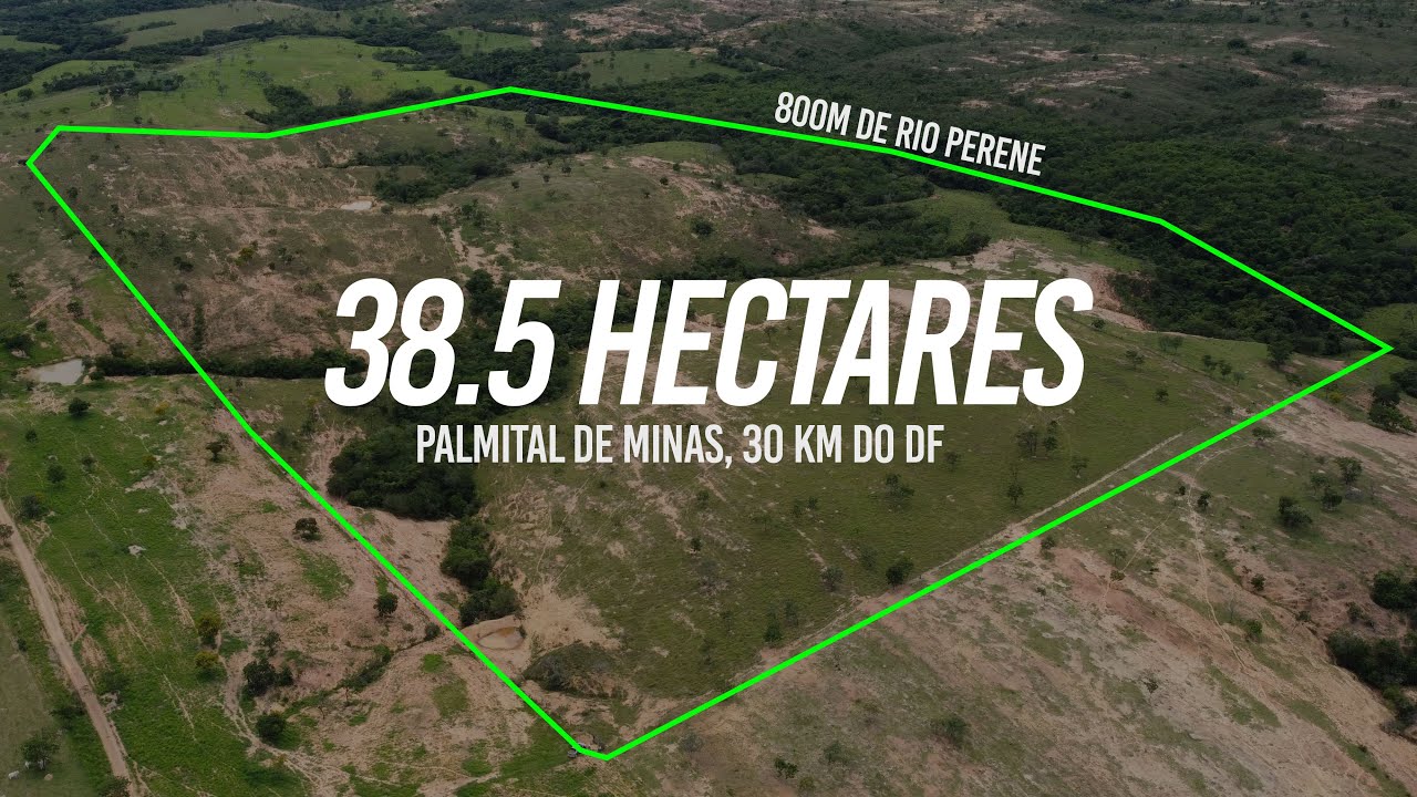 Área Rural à Venda | 38,5 ha com Água, Pasto e Escritura | Palmital de Minas 30 km do DF. R$800 mil