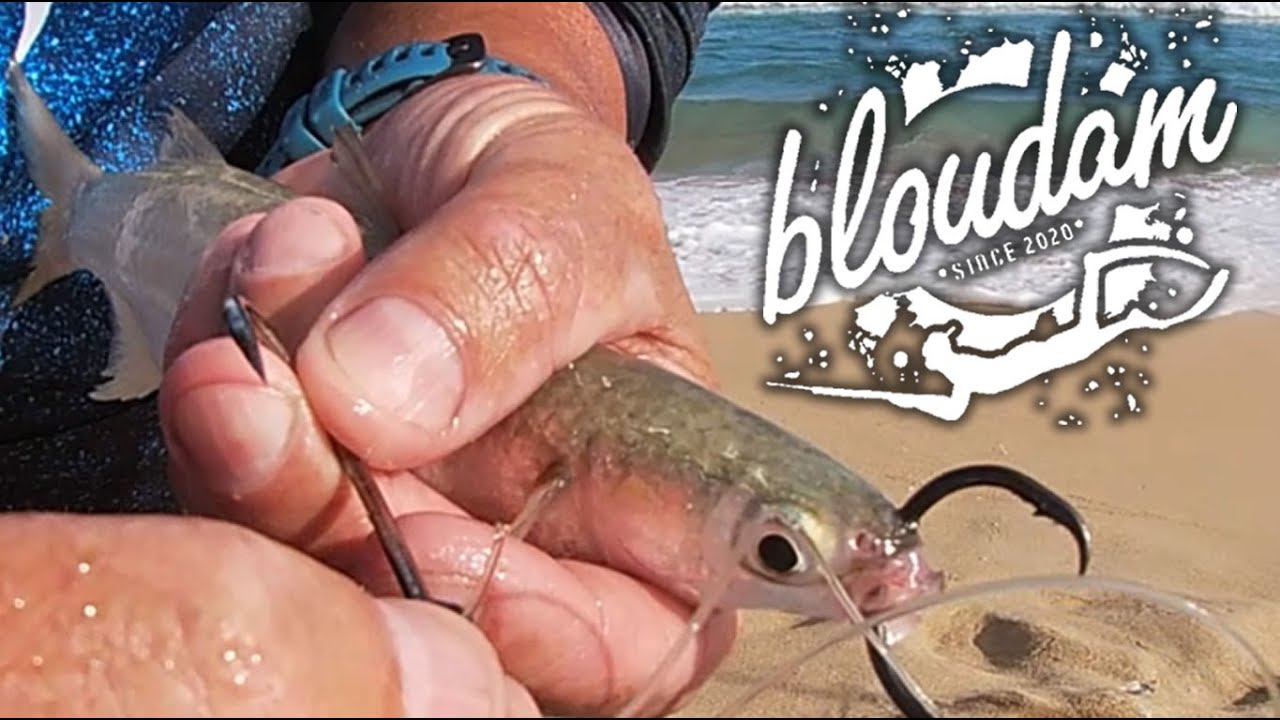 CATCHING KABELJOU with LIVE BAIT Double Hook Sliding Trace
