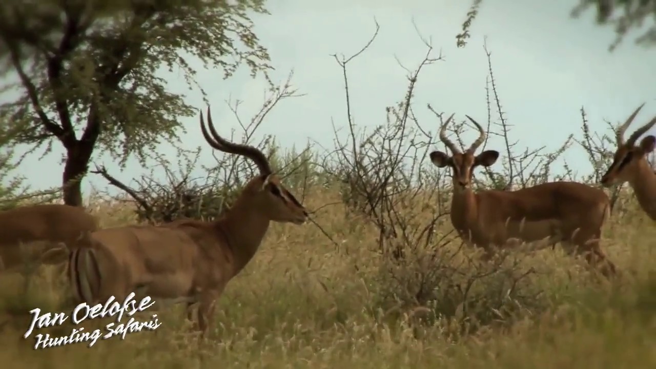 Jan+Oelofse+Safaris HD