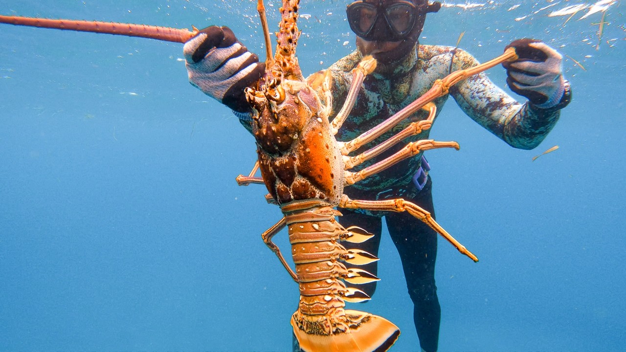 GIANT LOBSTER! (Bahamas Spearfishing Catch & Cook)