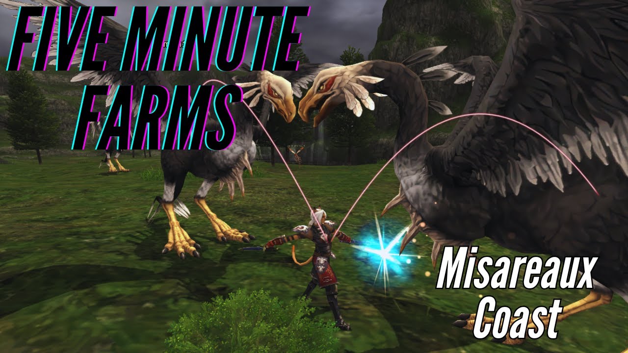 FFXI - Five Minute Gil Farm - Misareaux Coast