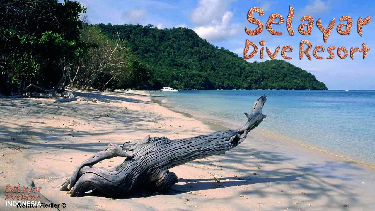Selayar Dive Resort Indonesia Slideshow 2013