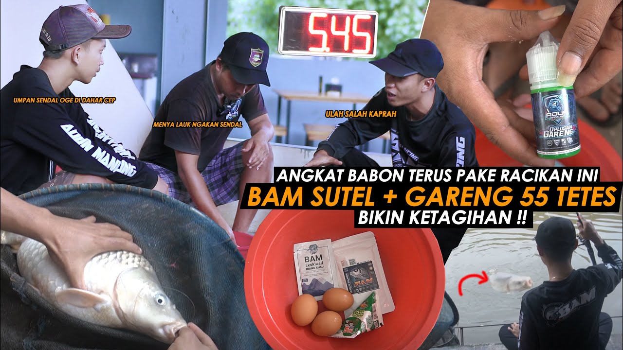 CUMA PAKE RACIKAN INI BISA STRIKE BABON SAMPE TANGAN PEGEL - PEGEL || Am#327