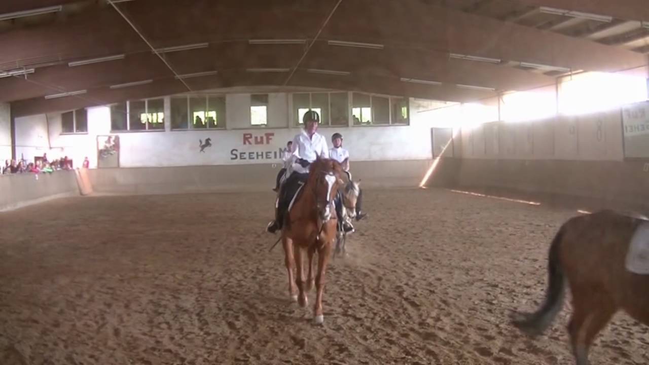 Quadrille zum Tag der offenen Stalltür am 1.5.2016 beim RuF Seeheim