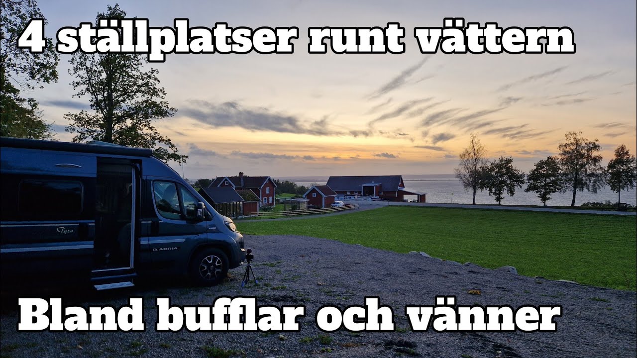 Ställplatser runt vättern - Bland bufflar och vänner
