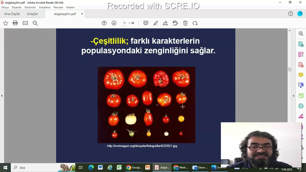 Doğal Se&ccedil;ilim / Natural selection