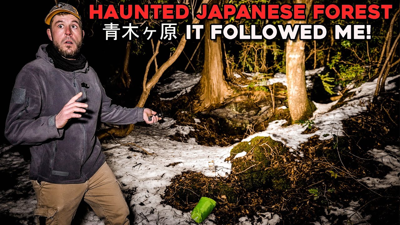 (SCARY!) I WAS FOLLOWED while Camping Alone in the HAUNTED SUICIDE JAPANESE FOREST AOKIGAHARA 青木ヶ原